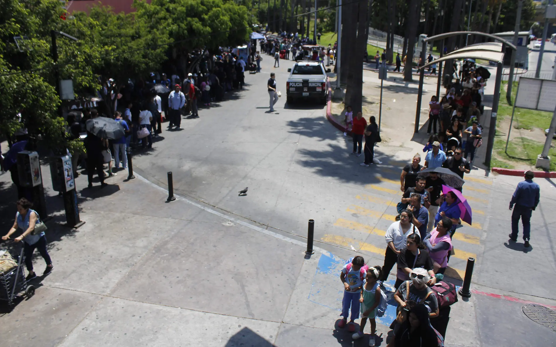 FILA PEATONAL SAN YSIDRO